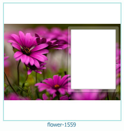 flower Photo frame 1559
