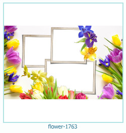 flower Photo frame 1763