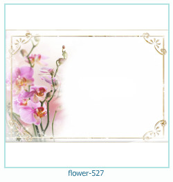 flower Photo frame 527