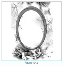 flower Photo frame 543