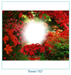 flower Photo frame 767